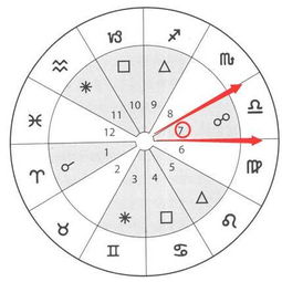 《星盘图揭示关键词之谜，解密中文文章标题的奥秘》